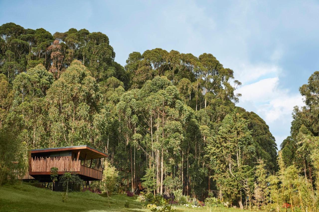 One&Only Gorilla'S Nest Hotel Kinigi Kültér fotó