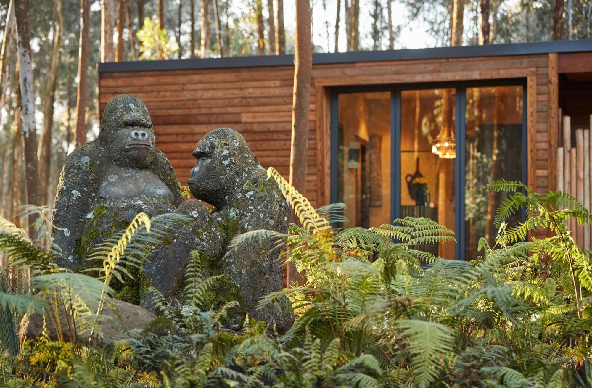 One&Only Gorilla'S Nest Hotel Kinigi Kültér fotó
