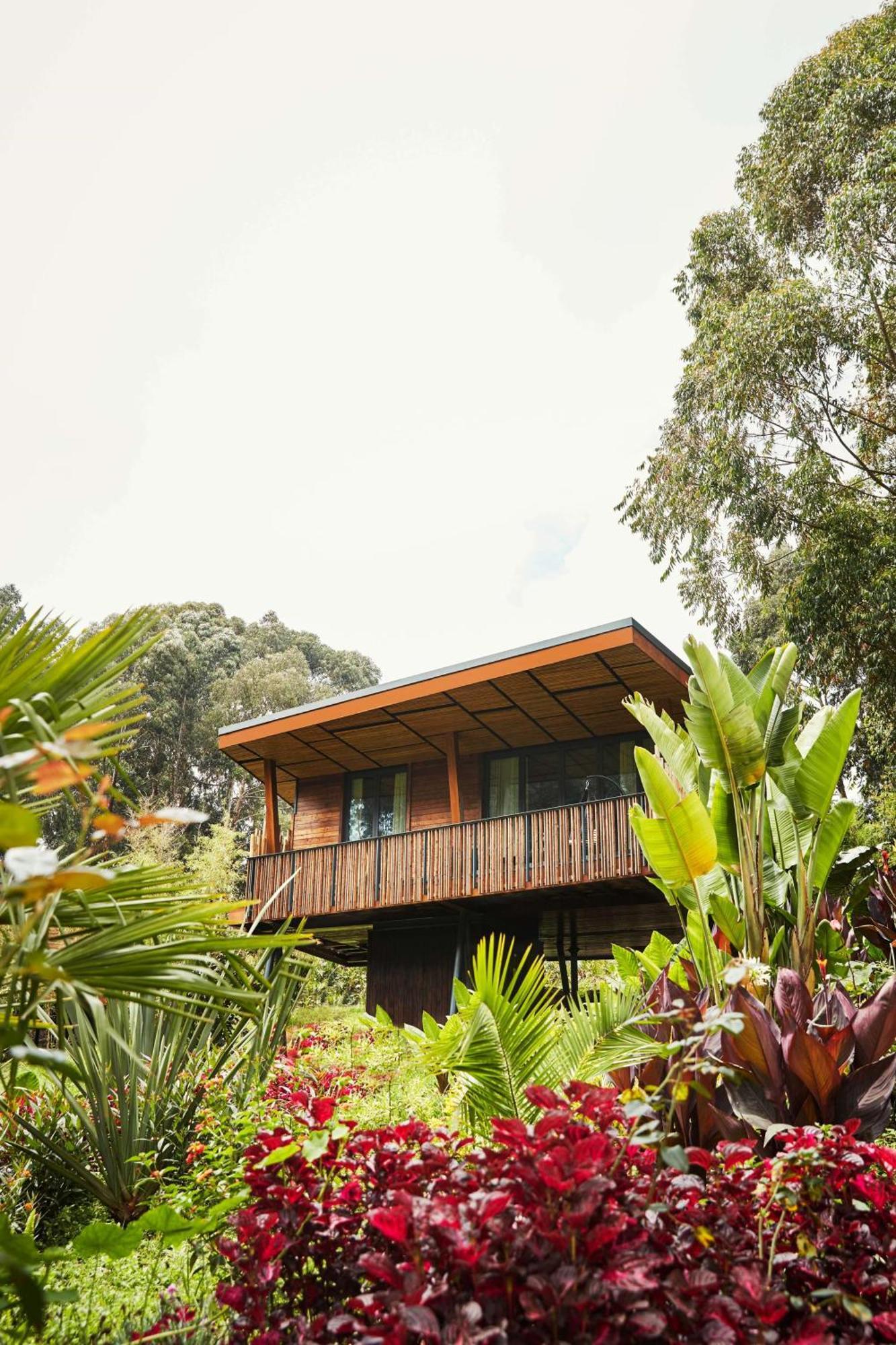 One&Only Gorilla'S Nest Hotel Kinigi Kültér fotó