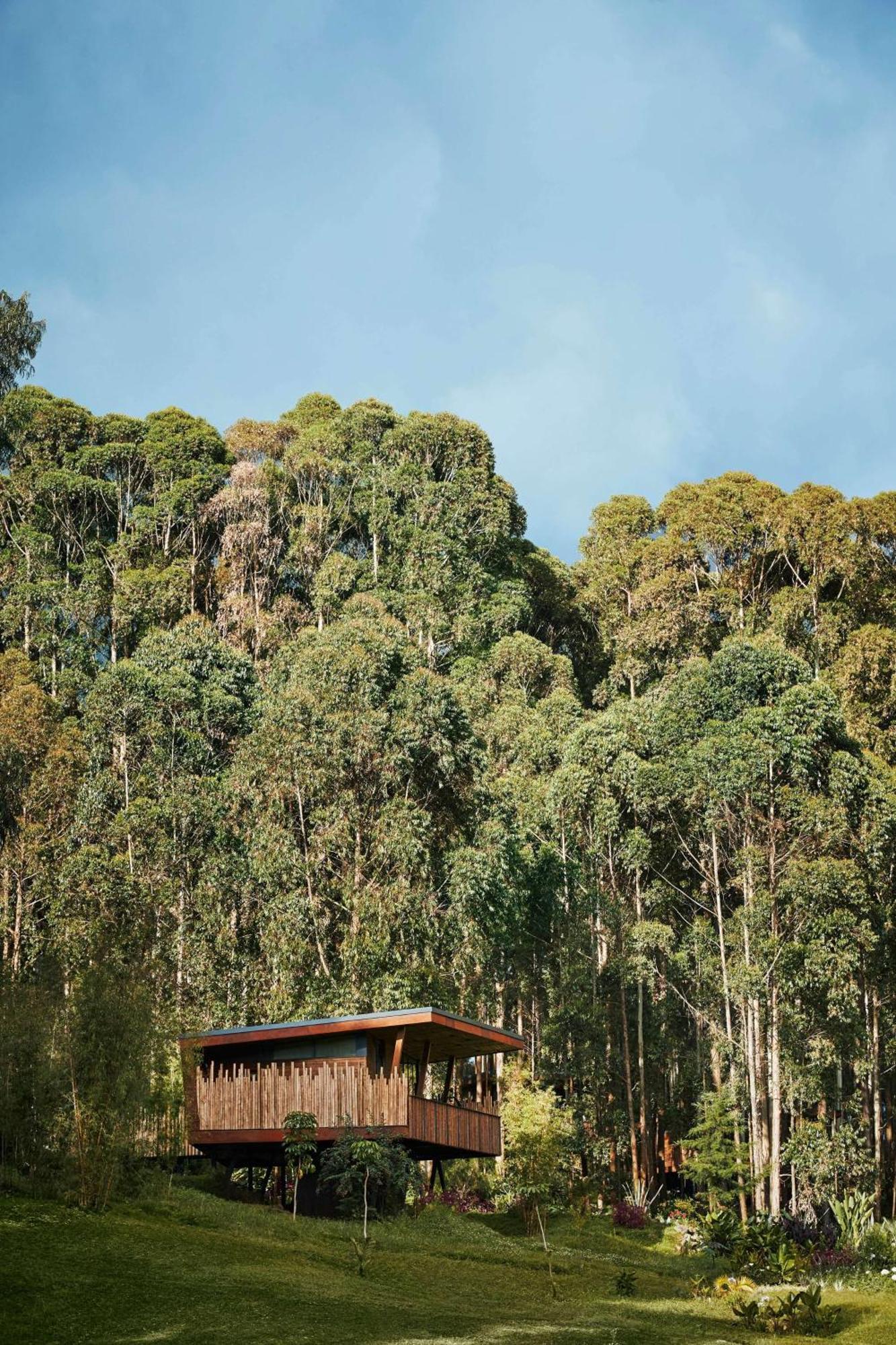 One&Only Gorilla'S Nest Hotel Kinigi Kültér fotó