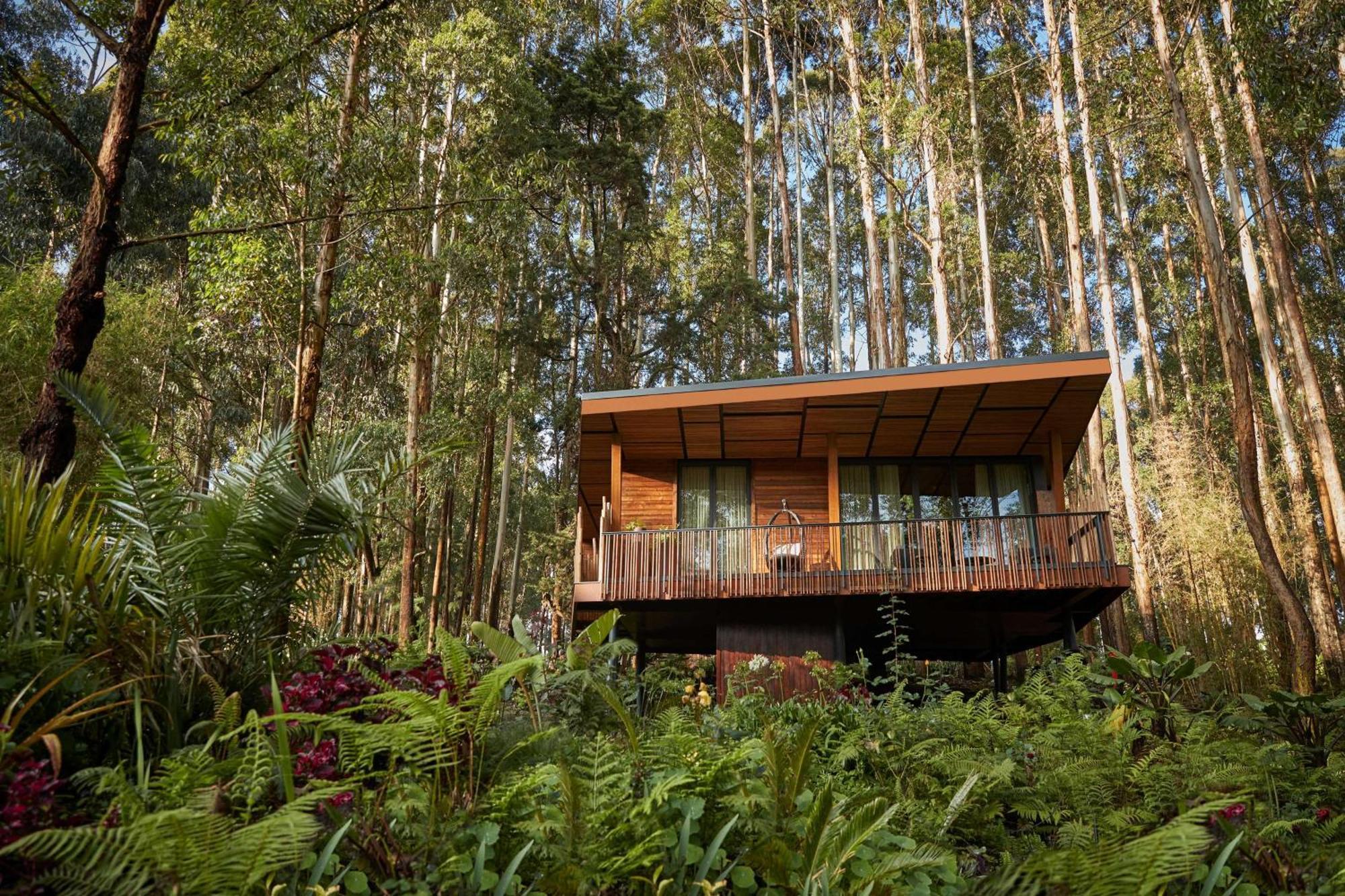 One&Only Gorilla'S Nest Hotel Kinigi Kültér fotó