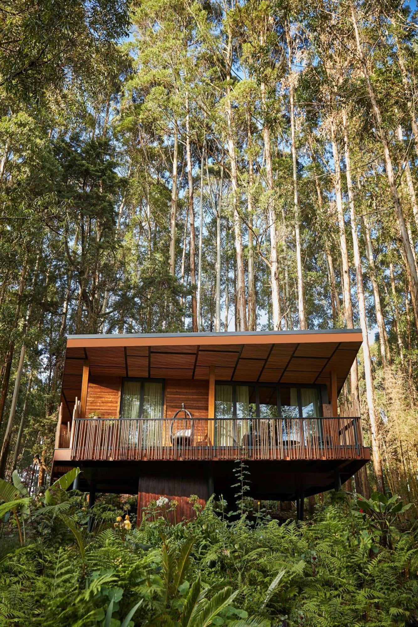 One&Only Gorilla'S Nest Hotel Kinigi Kültér fotó