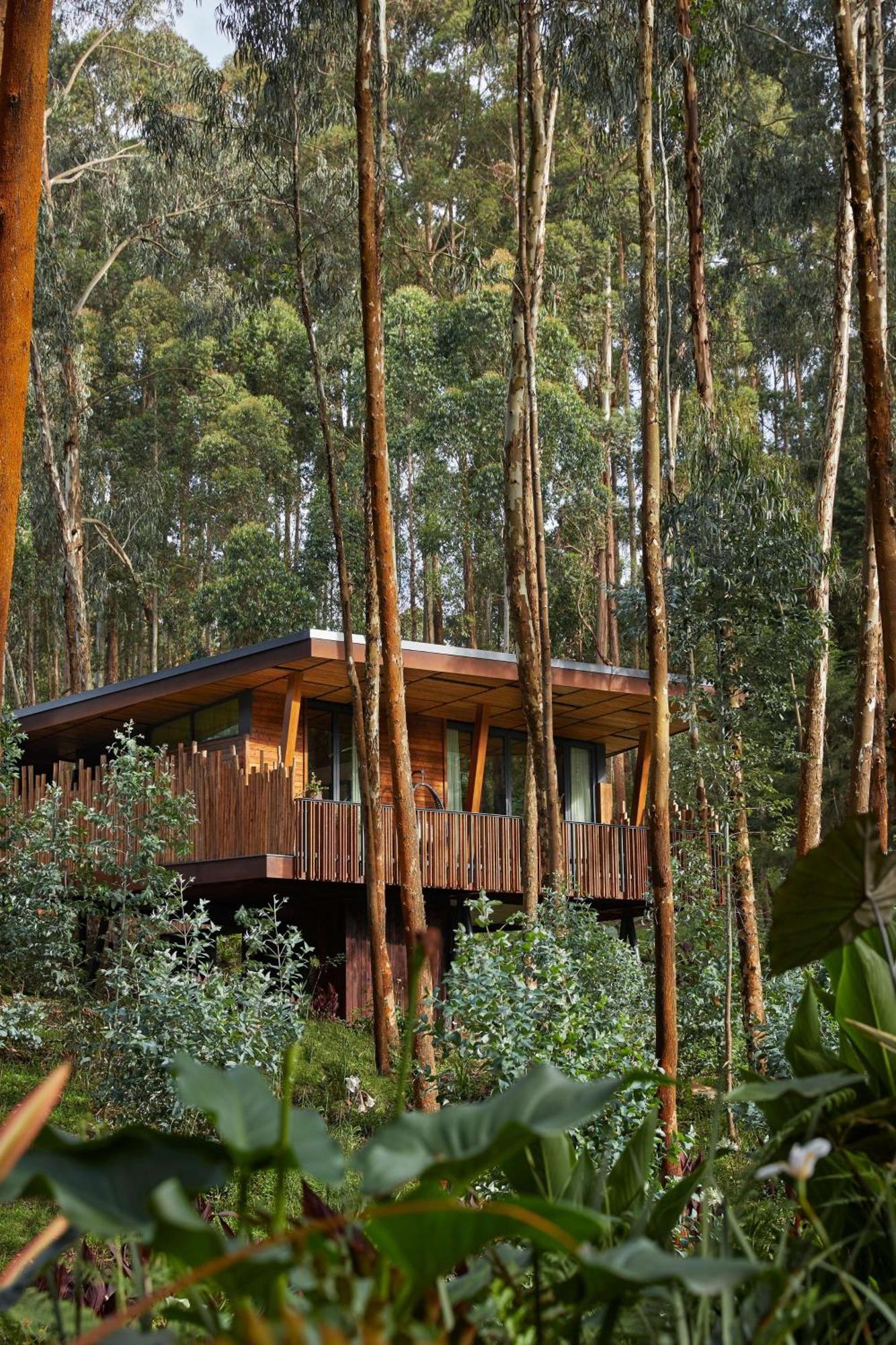 One&Only Gorilla'S Nest Hotel Kinigi Kültér fotó